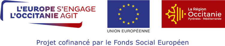 Logo fond social européen
